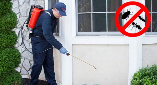 Yakakent Pire İlaçlama böcek ilaçlama ve haşere kontrolü — ilaclama-tr.com